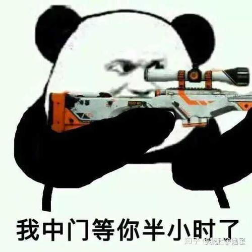 有哪些关于csgo的表情包?
