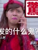 罗志祥朱碧石系列表情包图片极限挑战小猪经典搞笑表情包大全