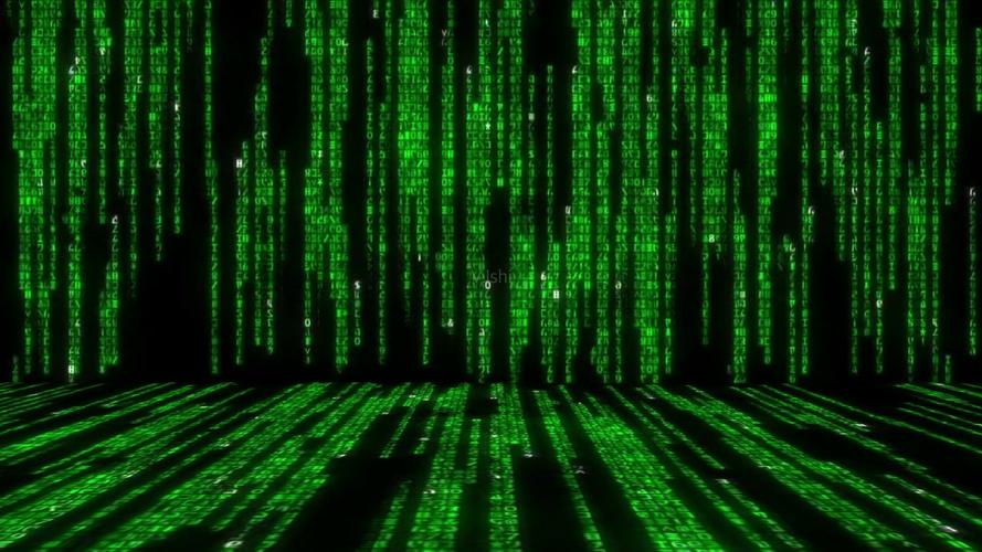 黑客帝国_1920x1080_高清视频素材下载(编号:2858470)