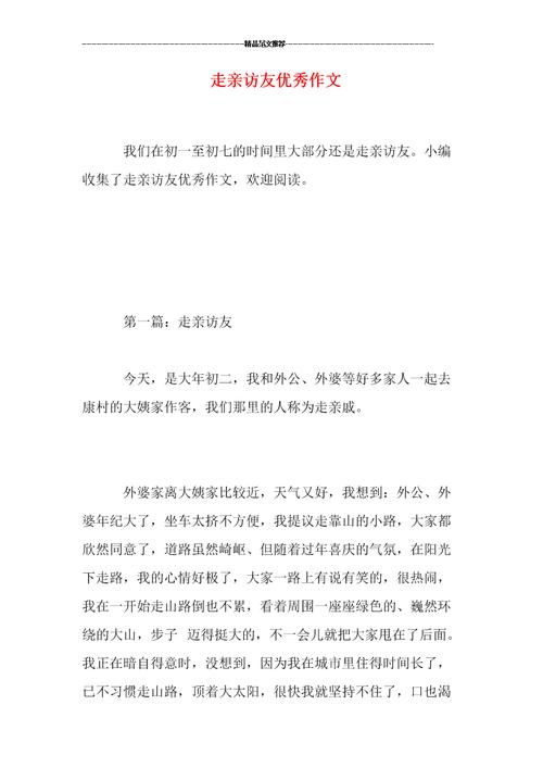 走亲访友优秀作文.doc