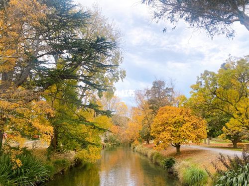 植物园的秋天_植物园_秋天去哪玩_消食_寇吉怎么样_基督_新西兰生活