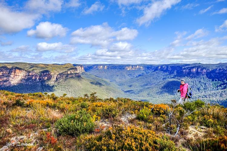 不到格罗斯大峡谷,就不知道澳洲的蓝山有多美!
