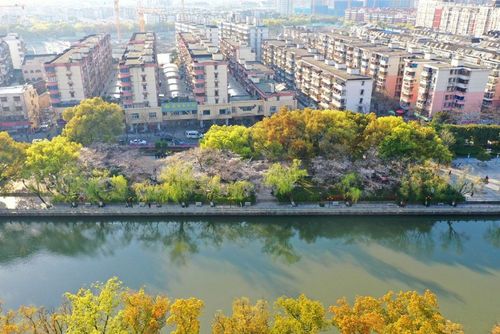 网红赏樱地,发卡弯,观景台,栖霞坑,樱花公园,海曙公园