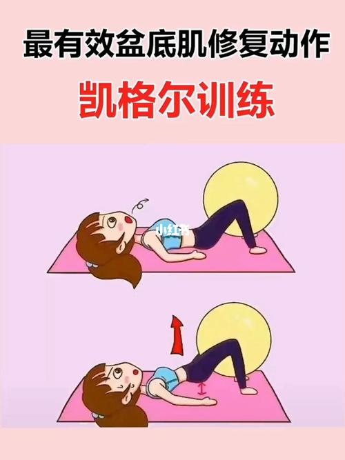 凯格尔运动是最有效的盆底肌修复动作_盆底肌_凯格尔运动_产后妈妈_腹