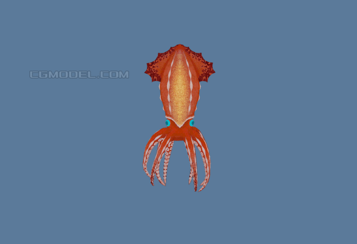 大章鱼动画 章鱼游动