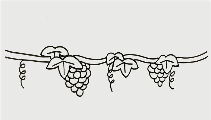 葡萄树怎么画_植物简笔画_简笔画大全