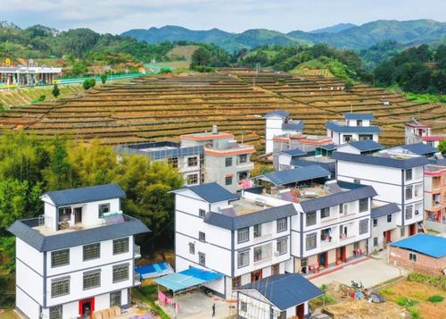 昭平县走马镇庙枒村委龙湾屯风貌改造提升效果