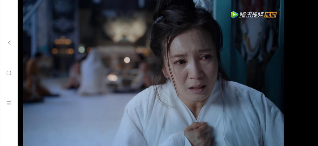 陈情令 胡小庭~金夫人