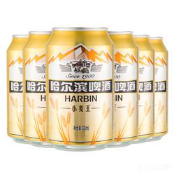 哈尔滨小麦王啤酒