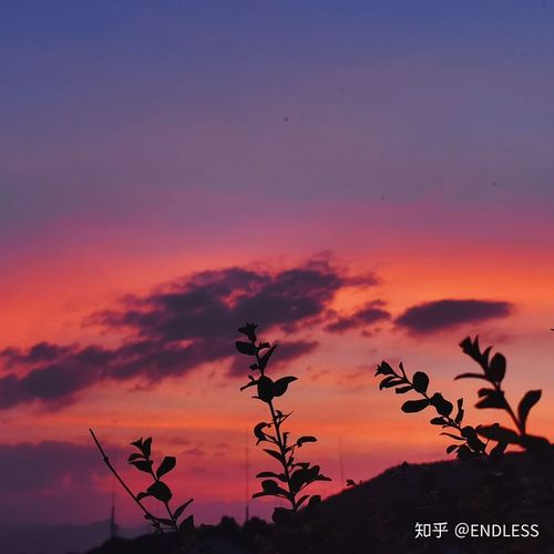 红霞在天边燃烧.