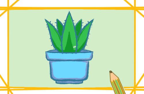 芦荟简笔画图片一学就会 漂亮的芦荟漂亮的芦荟的图片