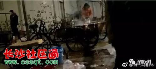 陕西定边县"白皮羊肉"大量流入市场"放心肉"成了"忧心肉"