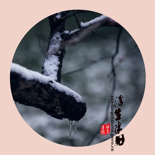 标题:浮生半日◆雪问