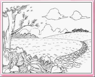 中,近层次,近景要细致地刻画,做到细而不板,远景用线应做到简而不草