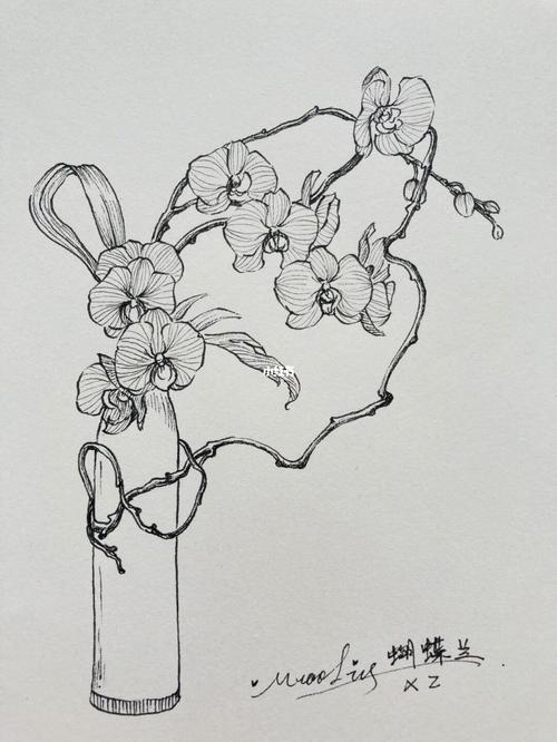 针管笔手绘 蝴蝶兰_绘画_手绘_针管笔_蝴蝶兰_洛阳市公安局特别勤务