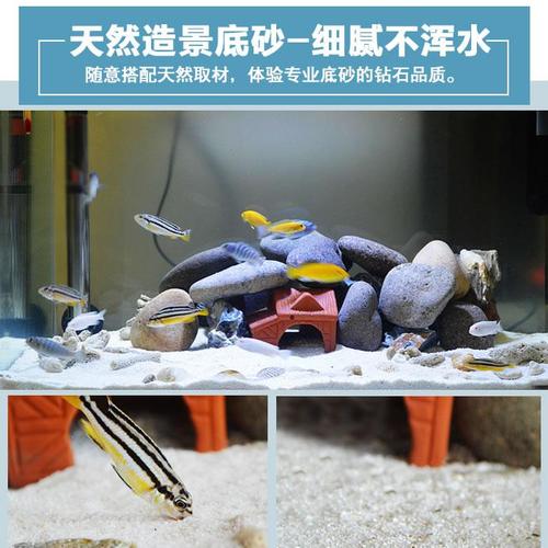 鱼缸装饰布景底砂珊瑚石子菲律宾砂海沙子三湖慈鲷造景细白沙套餐