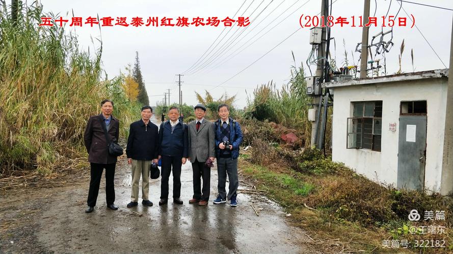 五十周年重游泰州红旗农场.