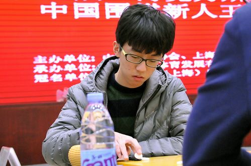 胡晓-石豫来 黄春棋 黄明宇 刘宇航 罗楚玥 潘亭宇 石豫来 孙鹏宇