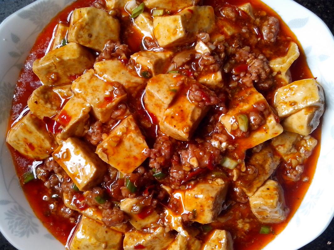 麻婆豆腐的做法_麻婆豆腐怎么做_麻婆豆腐的家常做法_海市蜃楼219【心