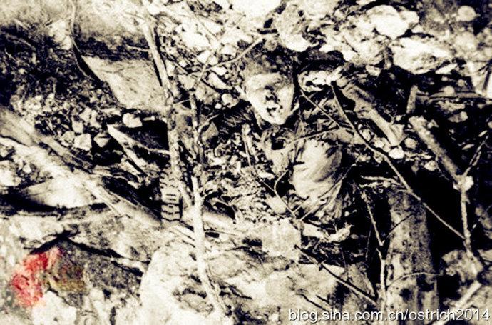 [转载]92对越自卫反击战35周年祭,大量绝密图片曝光