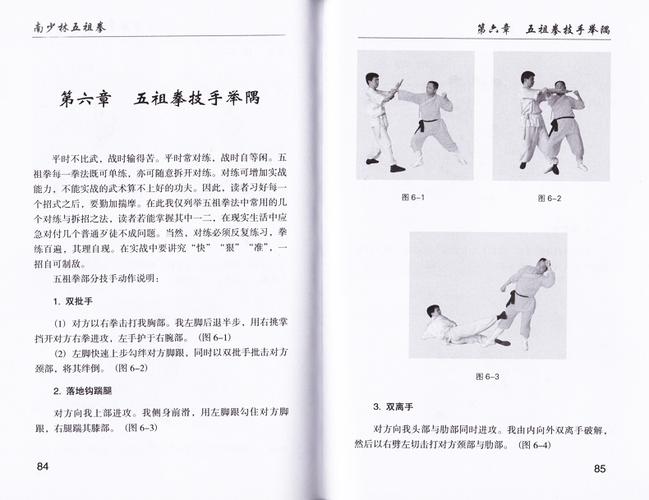 五祖拳谱白鹤拳五形拳形意拳术六路短拳太极拳书籍武子梅花拳螳螂拳