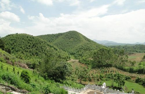 风水大师王君植考察墓地风水,明朝将领廖盛泰墓地是不