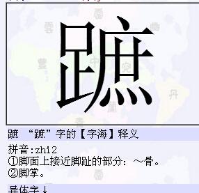 跖 "跖"字的【字海】释义     拼音:zhi2  ①脚面上