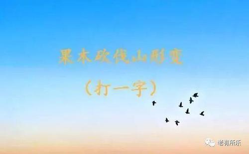 10道字谜题,猜对6题合格,8题良好,全对优秀,你是什么级别?