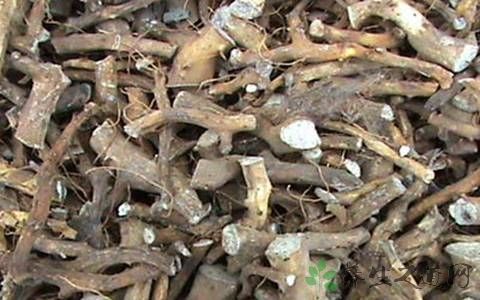 [穿地龙泡酒能治什么]穿地龙泡酒