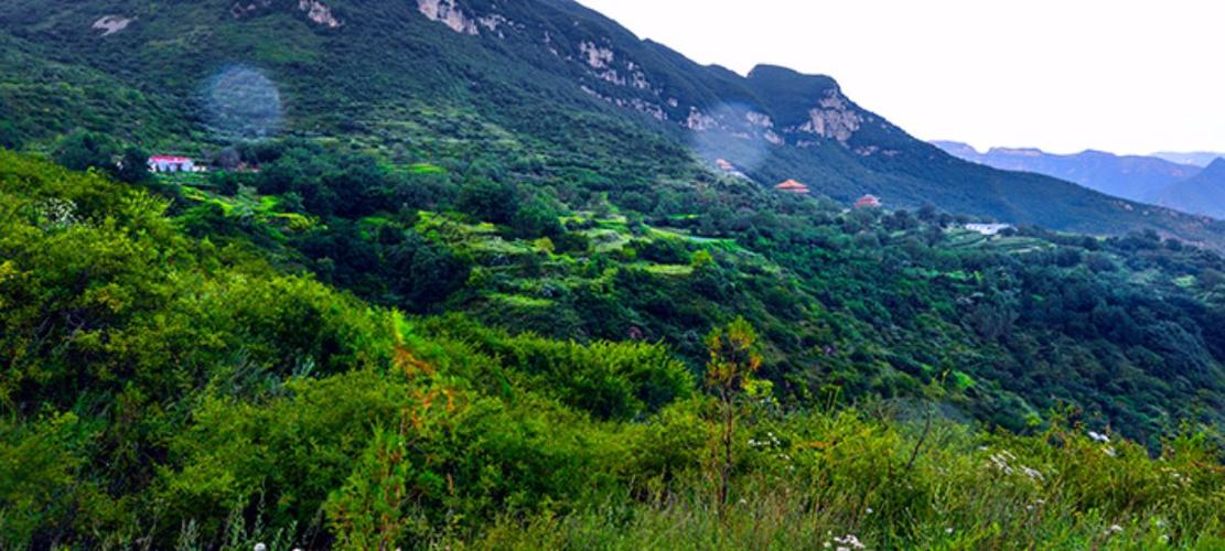 九峰山纯阳上宫