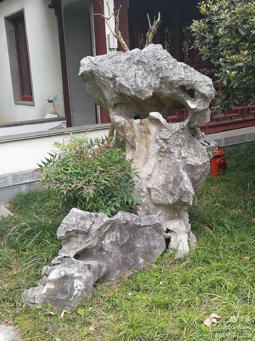 江南四大名园之瞻园里的太湖石(部分)