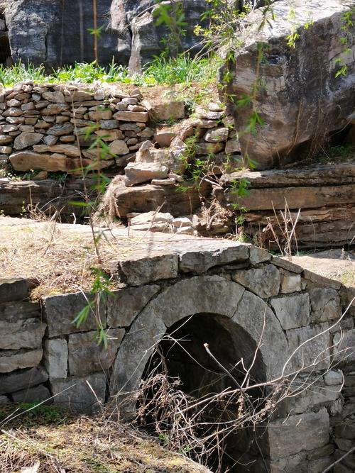 费县又发现一原始石林