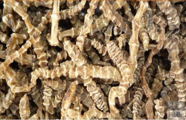 干虫草参的功效 干虫草参的作用