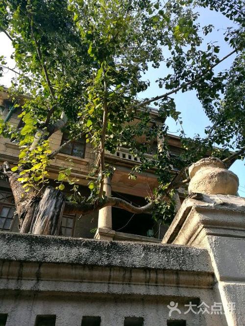 张浙洲旧宅图片 - 第9张