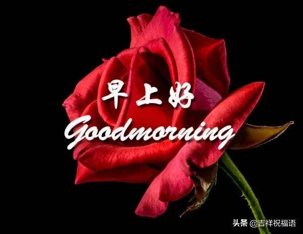 二月初一早上好祝福语图片带字带祝福语 问候亲友短信