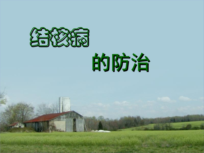 2014结核病防治知识课件.ppt