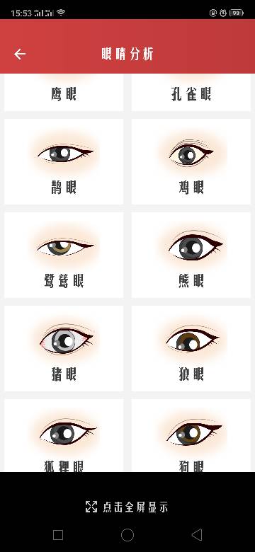 这是属于什么眼睛类型