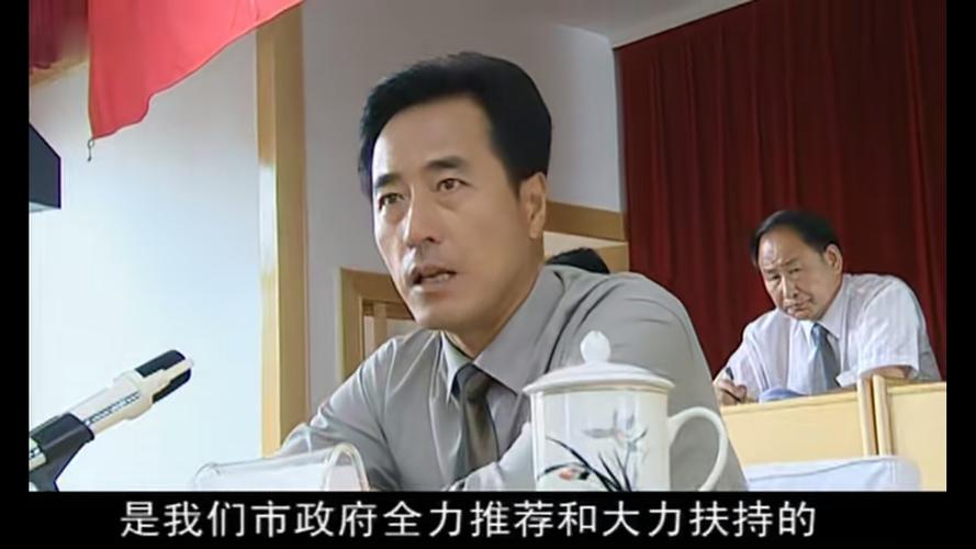 电视剧《人大主任》截屏照片