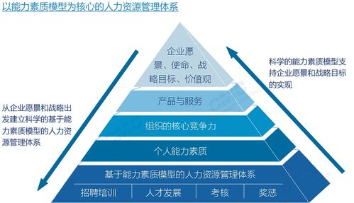 人才发展体系