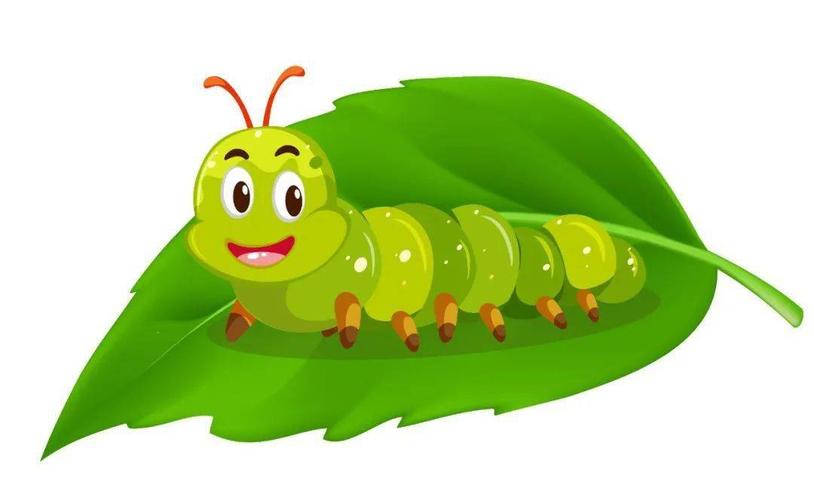 毛毛虫成长记