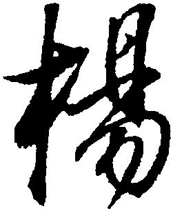杨字图片_杨字取名