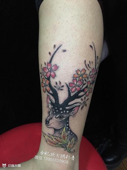 梅花鹿,小清新_纹身图案手稿图片_杨明的纹身作品集