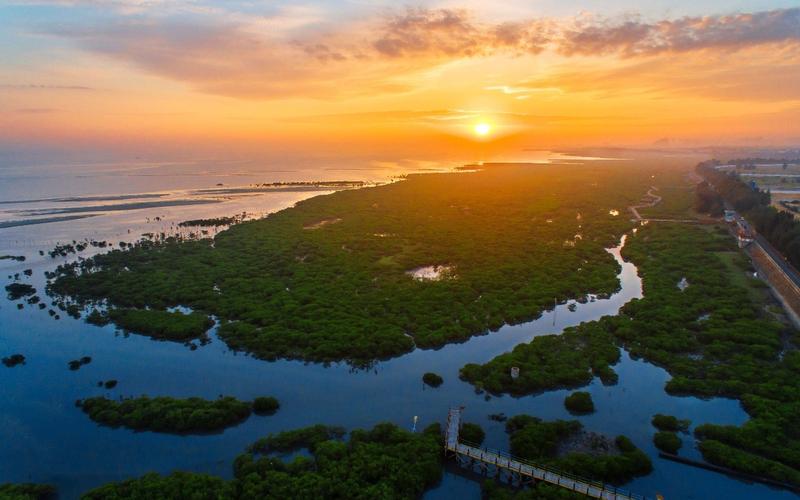 广西山口红树林生态自然保护区