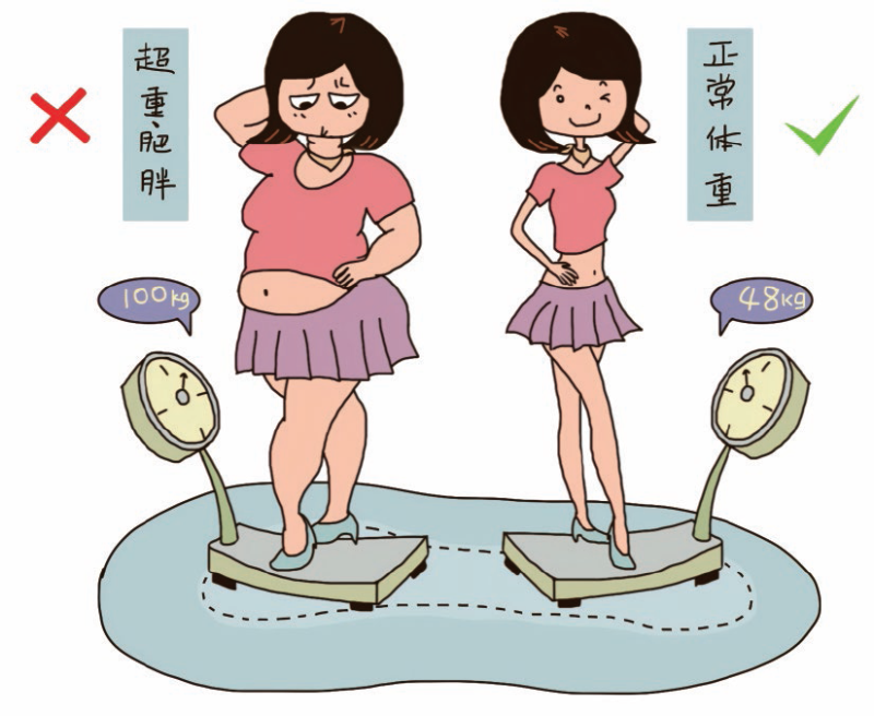 定义肥胖指数的标准有哪些 来看自己是什么体重