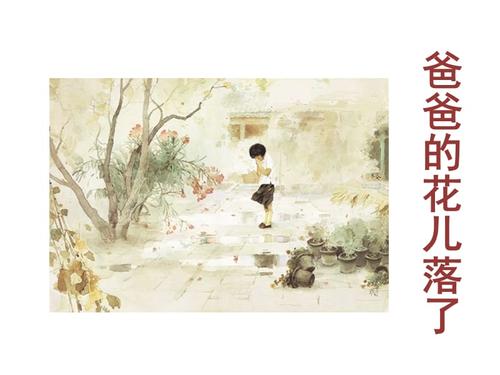 《爸爸的花儿落了》by