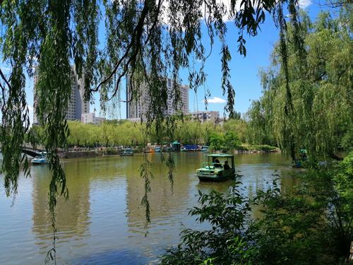美丽的锦州北湖公园四季如画景色优美.把夏日的美景