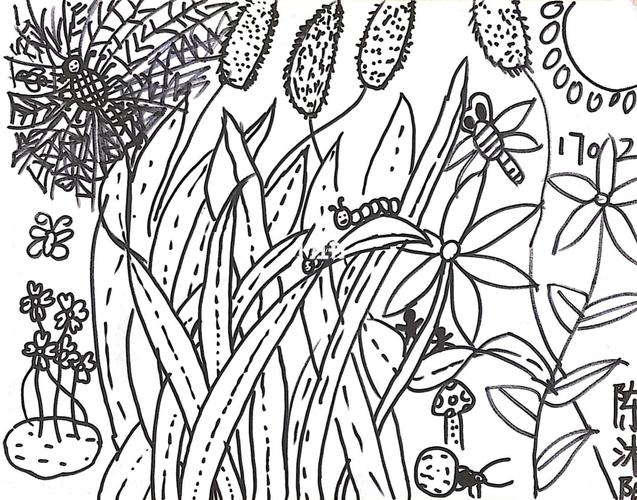 草丛中_线描_文化_绘画