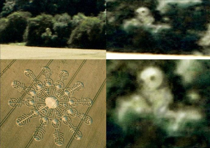 外星之谜——外星人在麦田圈附近