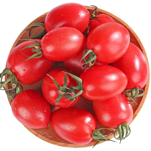 正宗千禧圣女果樱桃小柿子小番茄孕妇小孩水果现摘现发5斤包邮