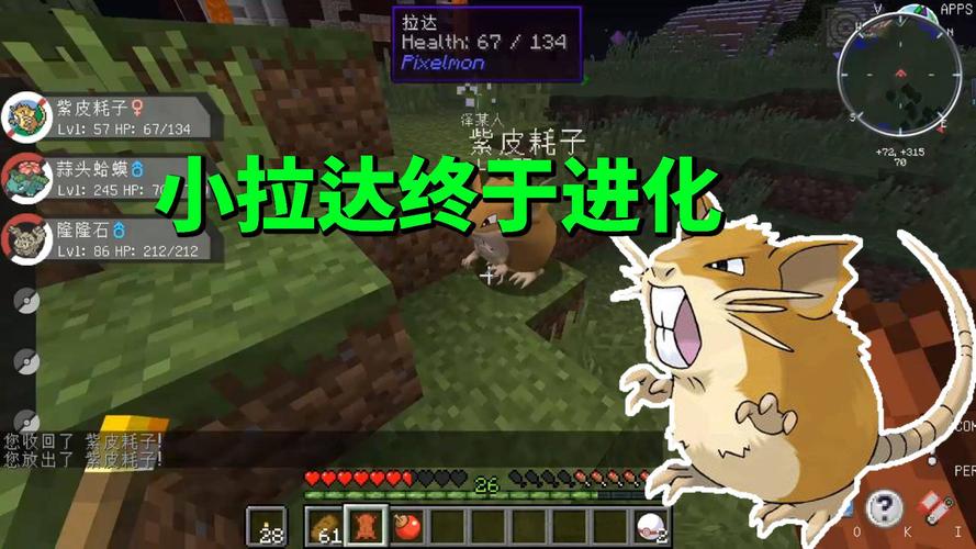 我的世界神奇宝贝08:经历两次进化,小拉达终于进化成拉达